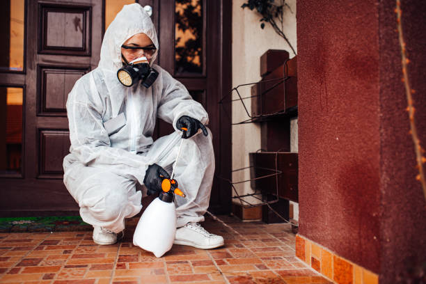 Reliable Wasp Removal contractor in Vidor, TX by Show Me Pest Control
